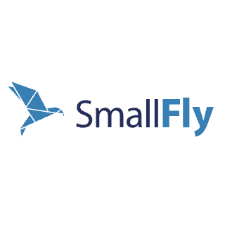 Small Fly
